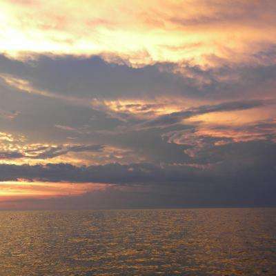 美“艾森豪威尔”航母在胡塞武装袭击疑云中撤离回国